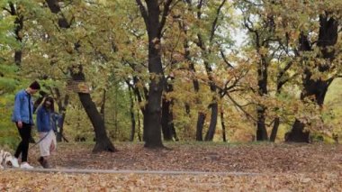 Genç çift, sonbahar parkında Jack Russell Terrier köpeğiyle yürüyor.