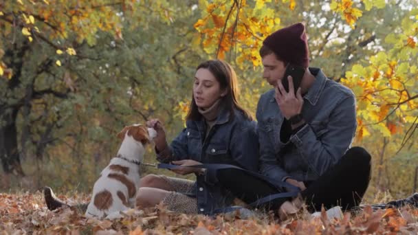 Pareja joven con lindo gato russell terrier perro en el parque de otoño. Hombre habla por teléfono mientras mujer juega con perro — Vídeo de stock