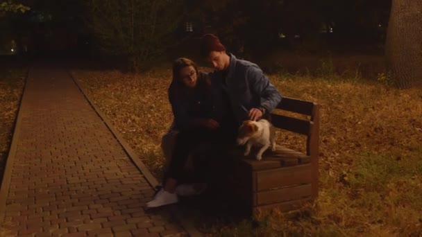 Романтичная молодая пара с Джеком Расселом-терьером сидит на скамейке в ночном парке — стоковое видео