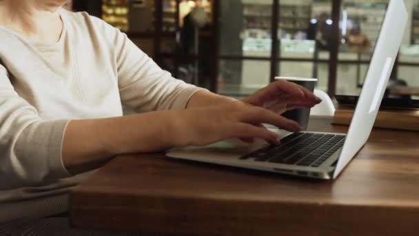 Типы пожилых женщин на ноутбуке в современном кафе — стоковое видео
