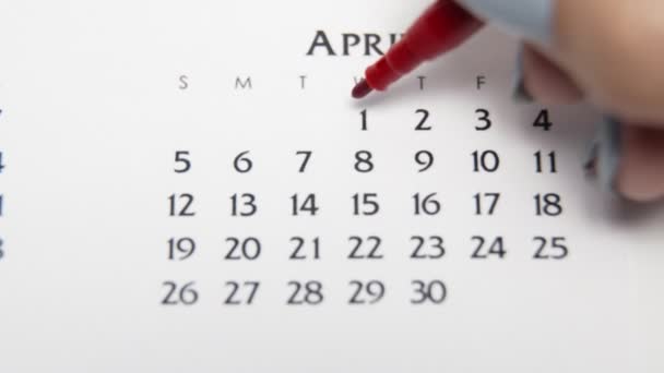 Dia círculo mão feminino em data de calendário com um marcador vermelho. Noções básicas de negócios Wall Calendar Planner and Organizer. 1 DE ABRIL — Vídeo de Stock