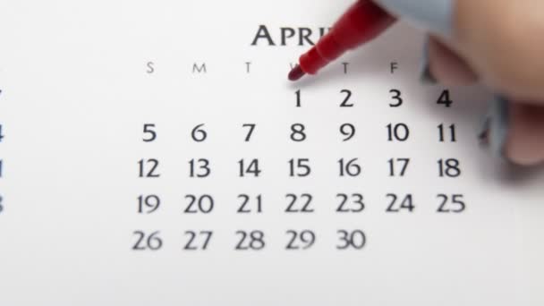 Giorno di cerchio di mano femminile in data di calendario con un marcatore rosso. Business Nozioni di base Wall Calendar Planner e organizzatore. 1 APRILE — Video Stock