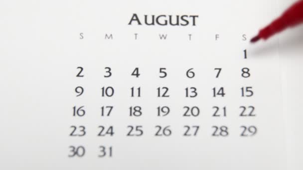 Ημέρα θηλυκού κύκλου στο ημερολόγιο με κόκκινο μαρκαδόρο. Business Basics Wall Ημερολόγιο και Organizer. 1η Αυγούστου — Αρχείο Βίντεο