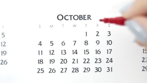 Giorno di cerchio di mano femminile in data di calendario con un marcatore rosso. Business Nozioni di base Wall Calendar Planner e organizzatore. 2 ottobre — Video Stock