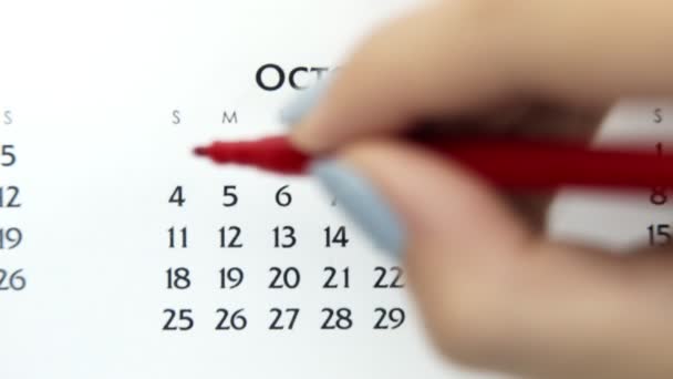 Kvinnlig hand cirkel dag i kalenderdatum med en röd markör. Business Basics Wall Calendar Planerare och arrangör. 4 oktober — Stockvideo