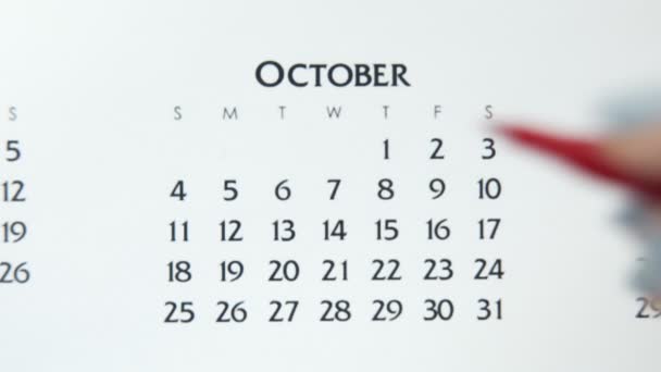 Kvinnlig hand cirkel dag i kalenderdatum med en röd markör. Business Basics Wall Calendar Planerare och arrangör. 5 oktober — Stockvideo
