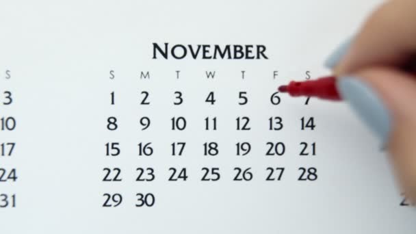 Samice kruh den v kalendářním datu s červenou značkou. Business Basics Wall Calendar Planner and Organizer. 6. listopadu
