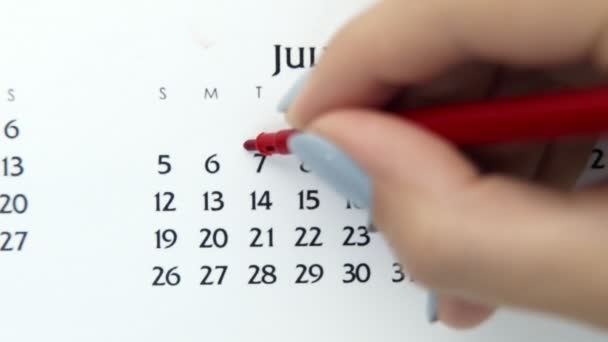 Female hand circle day in calendar date with a red marker. Business Basics Wall Calendar Planner and Organizer. July 7th — Stock Video