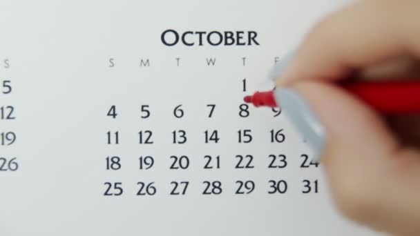 Kvinnlig hand cirkel dag i kalenderdatum med en röd markör. Business Basics Wall Calendar Planerare och arrangör. 8 oktober. — Stockvideo