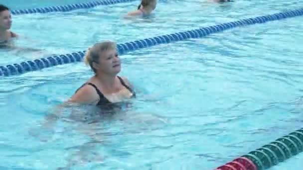 Mujeres mayores entrenando aqua gymnastic en piscina. — Vídeos de Stock