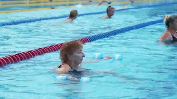 Grupo de mujeres entrenando gimnasia acuática en piscina. — Vídeo de stock