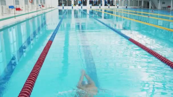 Nadador profissional mal trabalhando na piscina interior nadando através da pista. — Vídeo de Stock