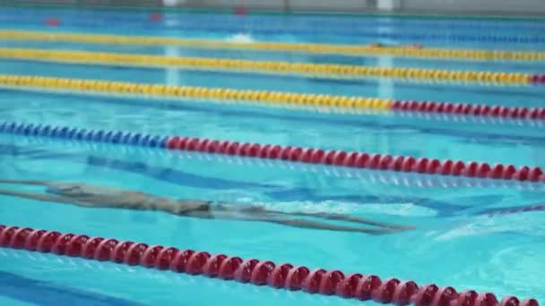 Profesional nadador strat nadar en la piscina — Vídeos de Stock