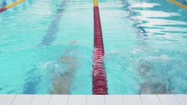 Nadadores profesionales mujer y hombre comienzan a nadar en la piscina — Vídeos de Stock