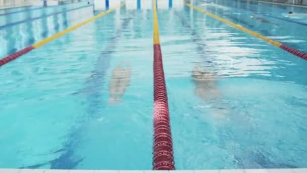 Профессиональные пловцы женщины и мужчины начинают плавать в бассейне — стоковое видео
