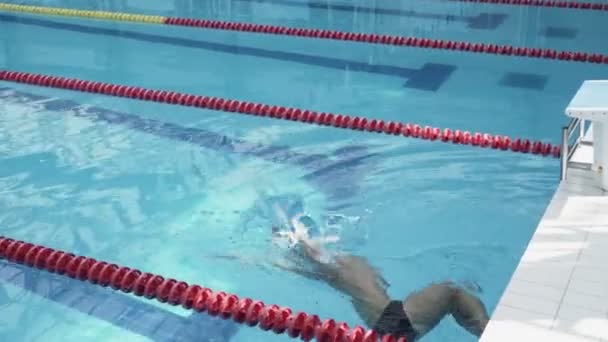 Guapo atleta nadador deportista entrenamiento en la piscina — Vídeos de Stock