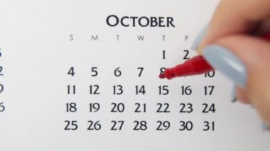 Takvimde kırmızı kalemli bir kadın el çemberi günü. İş Temel Duvar Takvimi Planlayıcı ve Düzenleyici. 15 Ekim