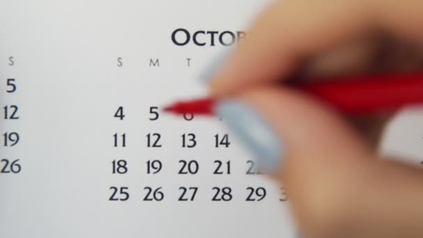赤いマーカーでカレンダー日付の女性の手の円の日。ビジネスの基本壁カレンダープランナーと主催者。10月11日 — ストック動画
