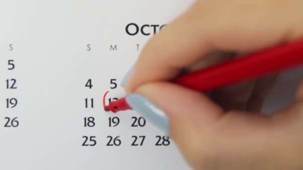 Dia círculo mão feminino em data de calendário com um marcador vermelho. Noções básicas de negócios Wall Calendar Planner and Organizer. 12 de Outubro — Vídeo de Stock