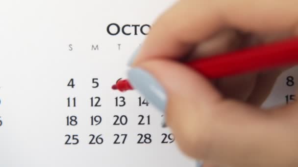 Dia círculo mão feminino em data de calendário com um marcador vermelho. Noções básicas de negócios Wall Calendar Planner and Organizer. 13 de Novembro — Vídeo de Stock