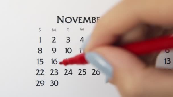 Wanita lingkaran tangan hari dalam tanggal kalender dengan penanda merah. Business Basics Wall Calendar Planner and Organizer (dalam bahasa Inggris). 16 November — Stok Video