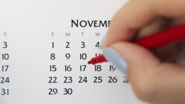 Kvinnlig hand cirkel dag i kalenderdatum med en röd markör. Business Basics Wall Calendar Planerare och arrangör. 17 november. — Stockvideo