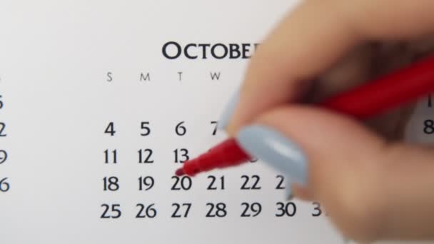 Dia círculo mão feminino em data de calendário com um marcador vermelho. Noções básicas de negócios Wall Calendar Planner and Organizer. 20 de Outubro — Vídeo de Stock