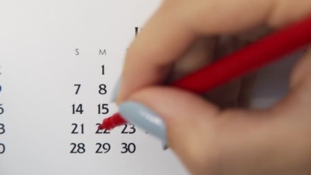 Kvinnlig hand cirkel dag i kalenderdatum med en röd markör. Business Basics Wall Calendar Planerare och arrangör. 22 juni. — Stockvideo
