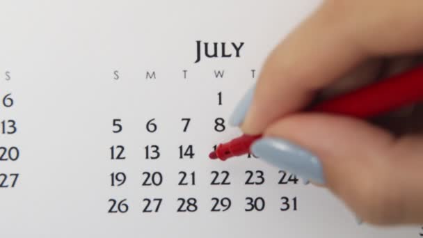 Kvinnlig hand cirkel dag i kalenderdatum med en röd markör. Business Basics Wall Calendar Planerare och arrangör. 22 juli. — Stockvideo