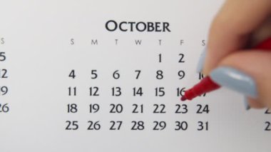 Takvimde kırmızı kalemli bir kadın el çemberi günü. İş Temel Duvar Takvimi Planlayıcı ve Düzenleyici. 23 Ekim