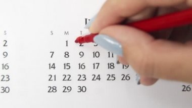 Takvimde kırmızı kalemli bir kadın el çemberi günü. İş Temel Duvar Takvimi Planlayıcı ve Düzenleyici. 24 Haziran