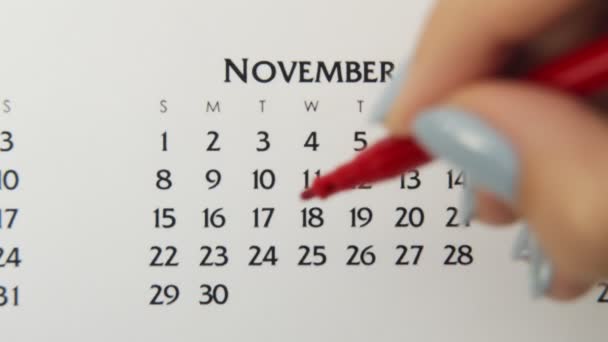 Samice kruh den v kalendářním datu s červenou značkou. Business Basics Wall Calendar Planner and Organizer. 24. listopadu — Stock video