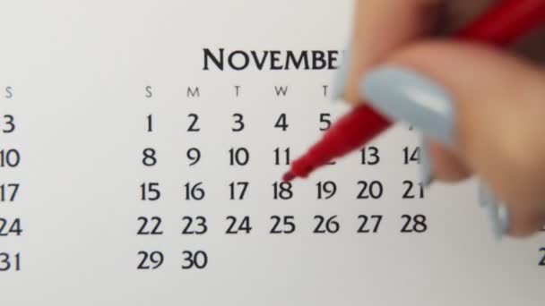 Dia círculo mão feminino em data de calendário com um marcador vermelho. Noções básicas de negócios Wall Calendar Planner and Organizer. 25 de Novembro — Vídeo de Stock