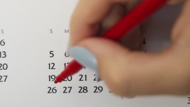 赤いマーカーでカレンダー日付の女性の手の円の日。ビジネスの基本壁カレンダープランナーと主催者。7月26日 — ストック動画