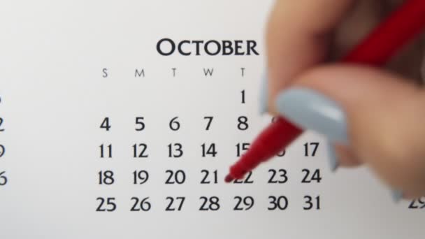 Ημέρα θηλυκού κύκλου στο ημερολόγιο με κόκκινο μαρκαδόρο. Business Basics Wall Ημερολόγιο και Organizer. 28 Οκτωβρίου — Αρχείο Βίντεο