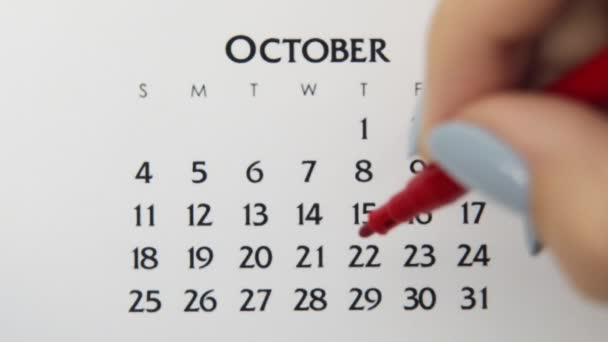 Día de círculo de la mano femenina en la fecha del calendario con un marcador rojo. Conceptos básicos de negocio Wall Calendar Planner and Organizer. 29 de noviembre — Vídeos de Stock