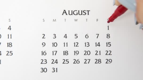 Kobiecy dzień kółka w dniu kalendarzowym z czerwonym markerem. Podstawy biznesu Kalendarz ścienny Planer i Organizator. 1 sierpnia. — Wideo stockowe