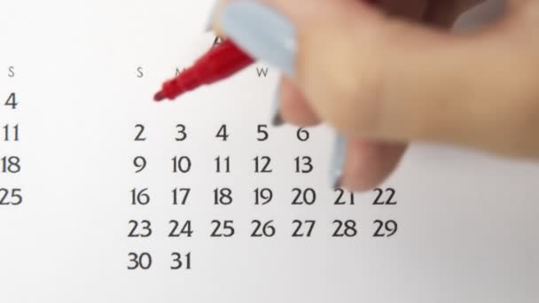 Giorno di cerchio di mano femminile in data di calendario con un marcatore rosso. Business Nozioni di base Wall Calendar Planner e organizzatore. 2 agosto — Video Stock