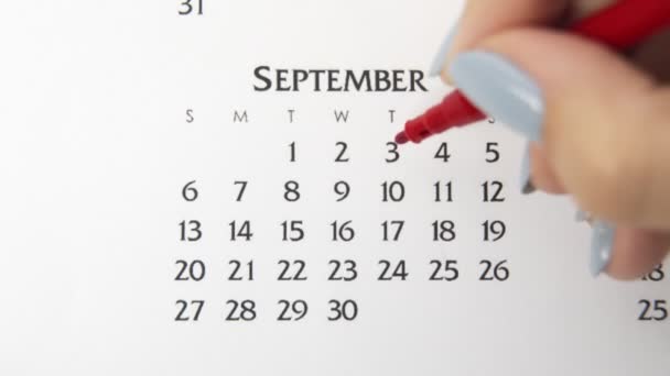 Vrouwelijke handcirkeldag in kalenderdatum met een rode stift. Business Basics Wall Calendar Planner en Organisator. 3 september — Stockvideo