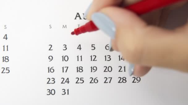 Kvinnlig hand cirkel dag i kalenderdatum med en röd markör. Business Basics Wall Calendar Planerare och arrangör. 3 augusti. — Stockvideo