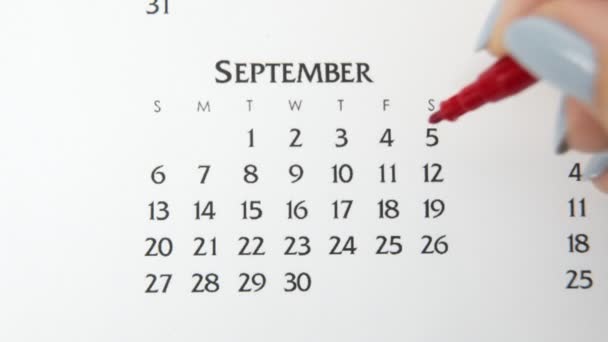 Día de círculo de la mano femenina en la fecha del calendario con un marcador rojo. Conceptos básicos de negocio Wall Calendar Planner and Organizer. 4 de septiembre — Vídeo de stock