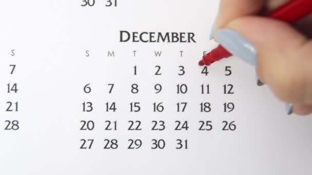 Día de círculo de la mano femenina en la fecha del calendario con un marcador rojo. Conceptos básicos de negocio Wall Calendar Planner and Organizer. 4 de diciembre — Vídeo de stock