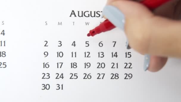 Día de círculo de la mano femenina en la fecha del calendario con un marcador rojo. Conceptos básicos de negocio Wall Calendar Planner and Organizer. 5 de agosto — Vídeo de stock