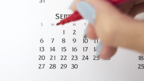 Női kéz kör nap naptár dátum egy piros marker. Üzleti alapok Falinaptár tervező és szervező. Szeptember 6. — Stock videók