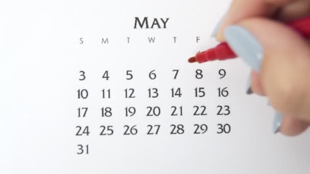 Femme cercle de main jour dans la date du calendrier avec un marqueur rouge. Business Basics Planificateur et organisateur de calendrier mural. 7 mai — Video