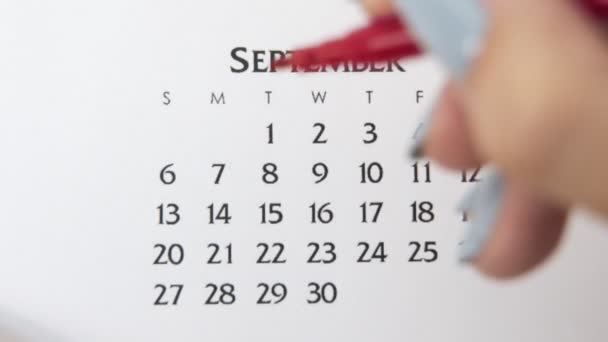 Kvinnlig hand cirkel dag i kalenderdatum med en röd markör. Business Basics Wall Calendar Planerare och arrangör. 7 september — Stockvideo