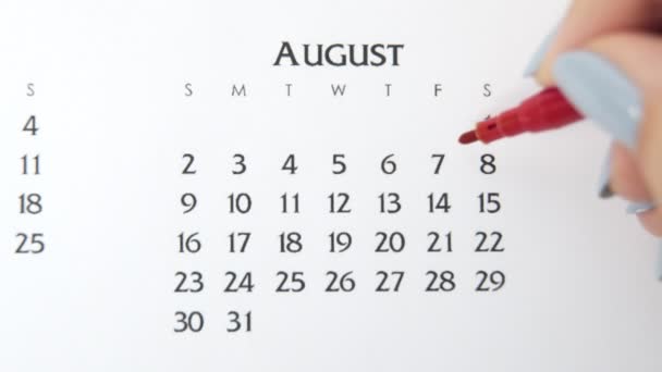 วันวงกลมมือผู้หญิงในวันปฏิทินที่มีเครื่องหมายสีแดง แผนผังปฏิทินพื้นฐานทางธุรกิจและผู้จัดงาน 7 สิงหาคม — วีดีโอสต็อก