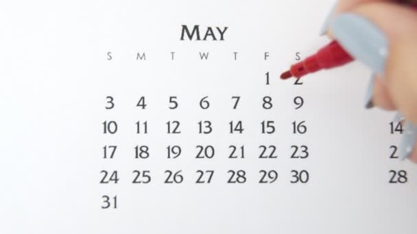 Día de círculo de la mano femenina en la fecha del calendario con un marcador rojo. Conceptos básicos de negocio Wall Calendar Planner and Organizer. 8 de mayo — Vídeo de stock