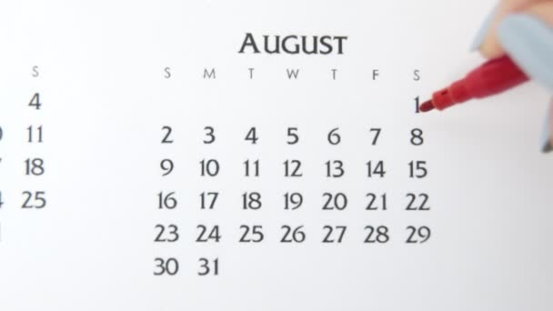 Día de círculo de la mano femenina en la fecha del calendario con un marcador rojo. Conceptos básicos de negocio Wall Calendar Planner and Organizer. 8 de agosto — Vídeo de stock