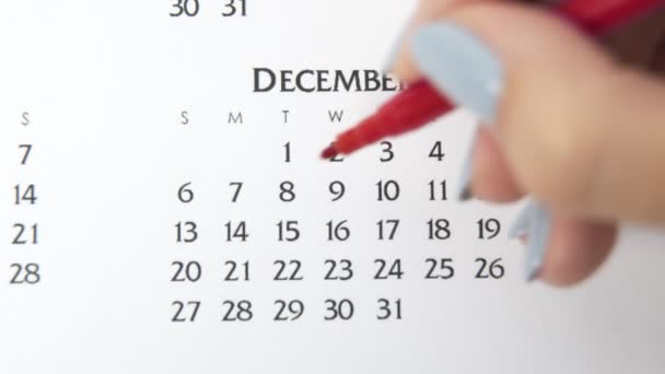 Día de círculo de la mano femenina en la fecha del calendario con un marcador rojo. Conceptos básicos de negocio Wall Calendar Planner and Organizer. 8 de diciembre — Vídeo de stock